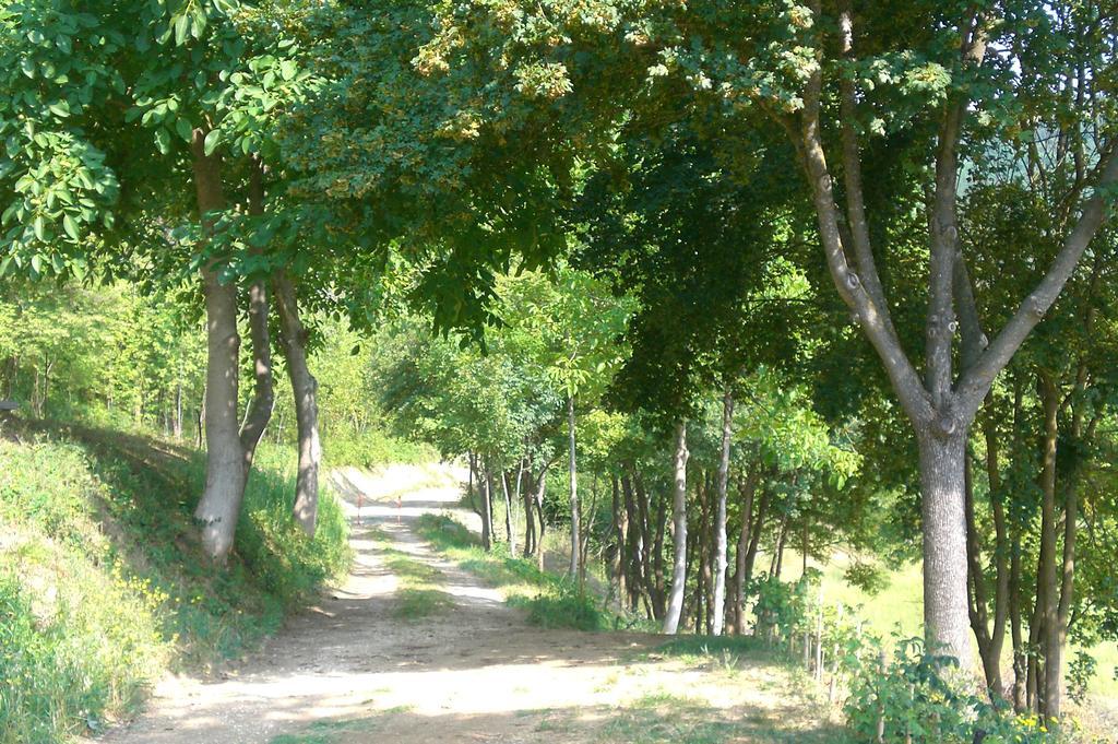 Brisighella Green Wellness Ngoại thất bức ảnh